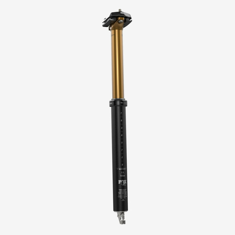 Dropper Fox Transfer 30.9 x 120, Kashima - imagen 1