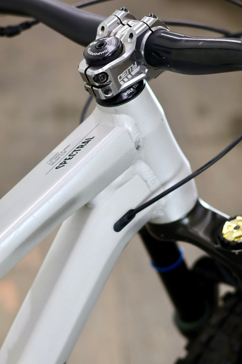 Canyon Spectral AL