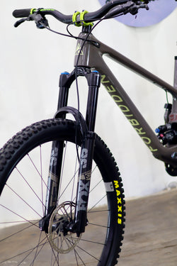 Forbidden Druid Carbon 2023