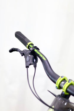Forbidden Druid Carbon 2023